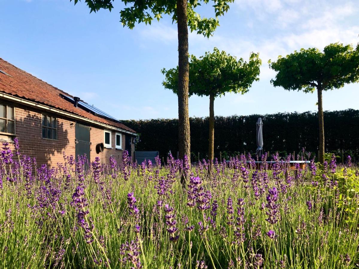 Lavender Lodge Achthuizen 外观 照片